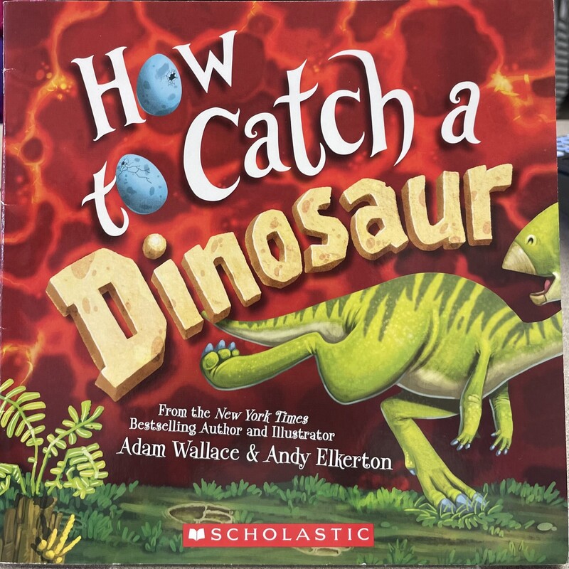 How To Catch A Dinosaur, Multi, Size: Paperback