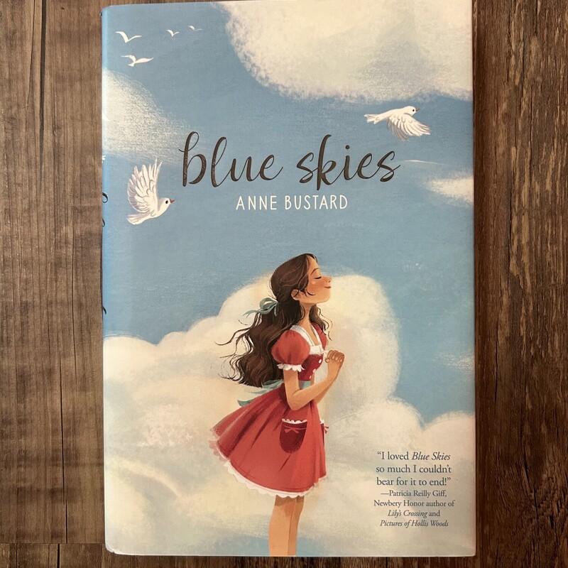Blue Skies Hardback, Babyblue, Size: Book