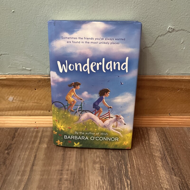 Wonderland, Blue, Size: Book