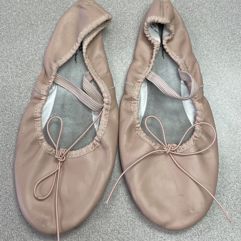 ABT Ballet Shoes