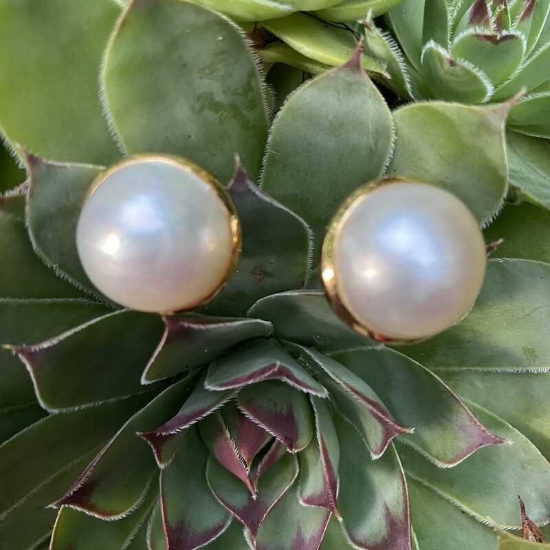 14K Mabe Pearl Earrings