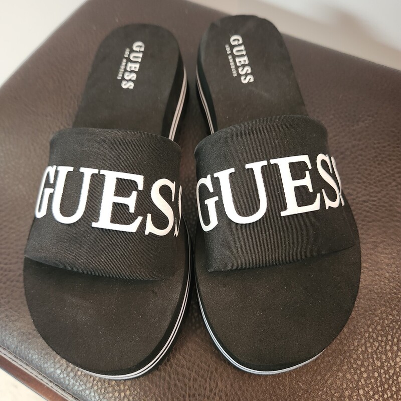 Guess Slides