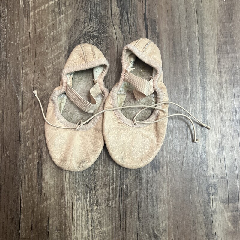 Bloch Ballet Shoes