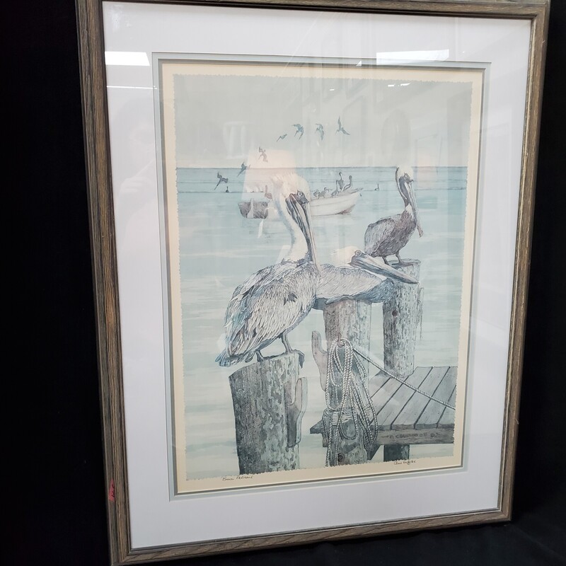Vtg Signed Brown Pelicans by Chris Griffiths, WthrdBrn, Size: 27x33