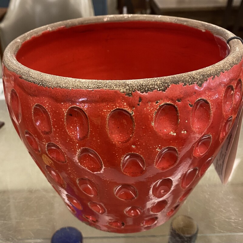 1930s Strawberry Plant Po