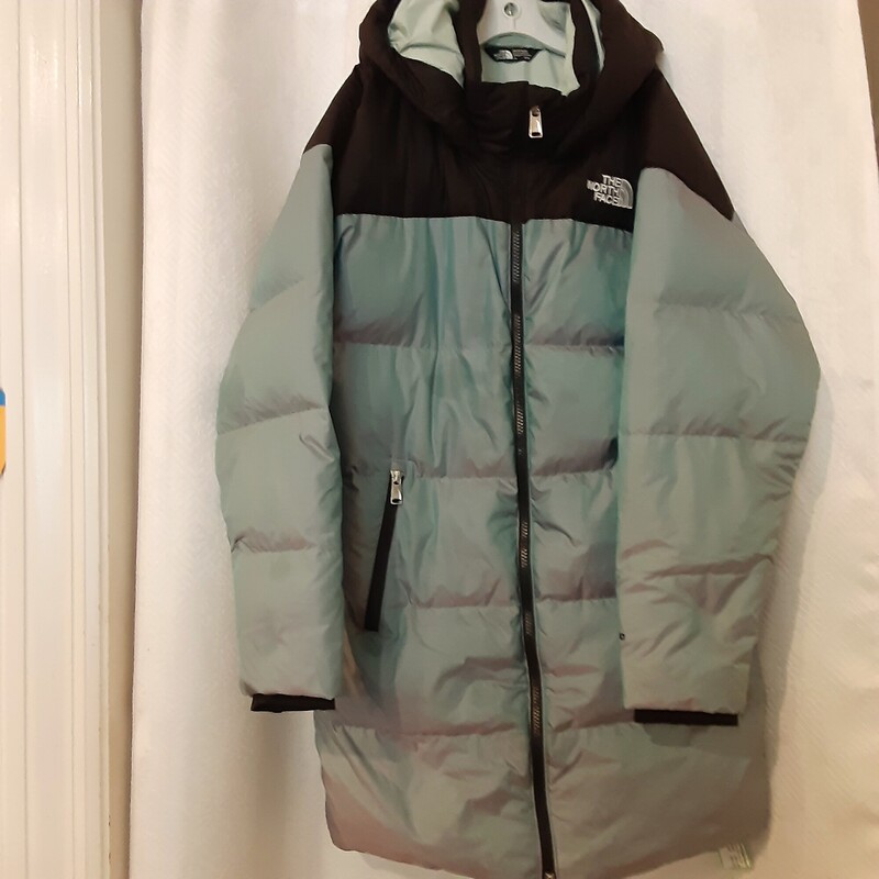 *North Face Gotham Coat