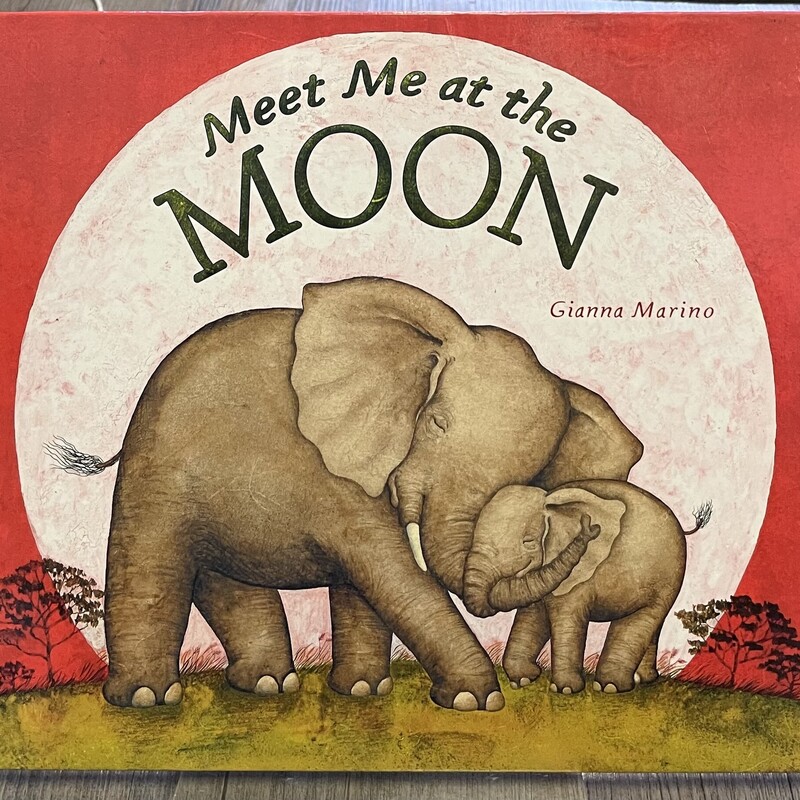 Meet Me At The Moon, Multi, Size: Hardcover