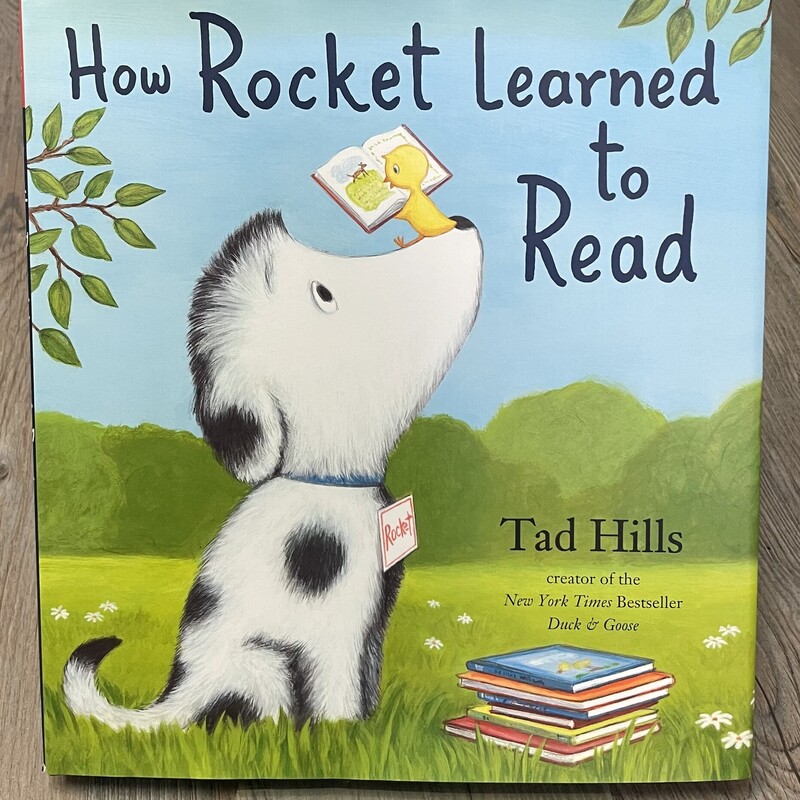 How Rocket Learn To Read, Multi, Size: Hardcover