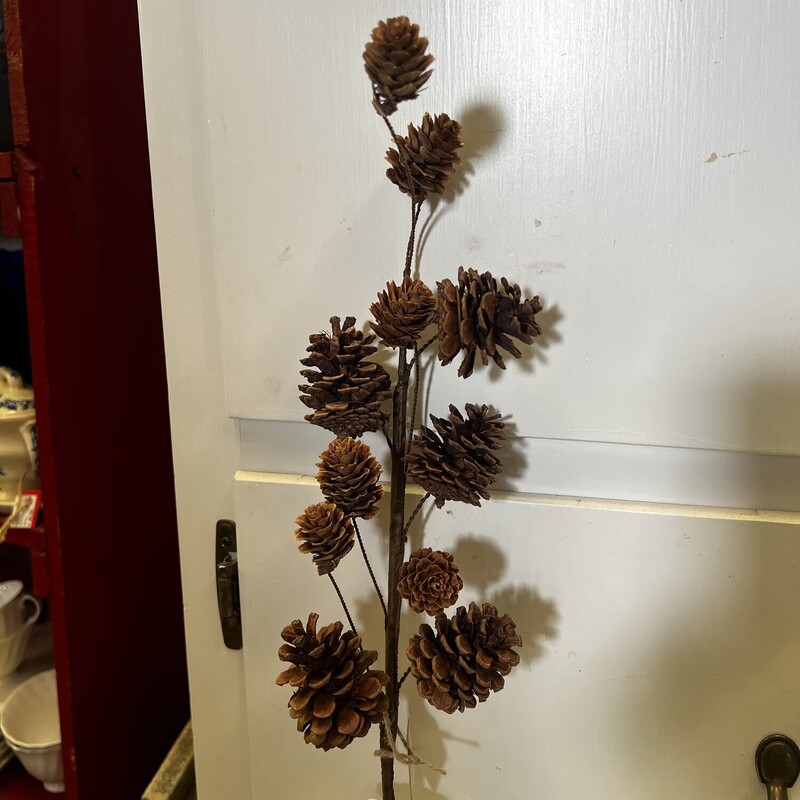 This pinecone stem is a perfect addition to any fall or winter floral arrangements.  The real pincones and wire stems make is easy to arrange
Stem measures 23 inches tall
