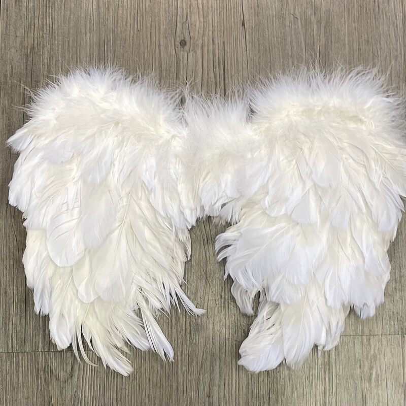 Feather Wings, White, Size: Kids
Pre-owned