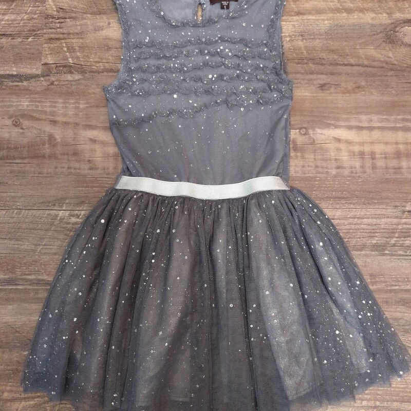 Imoga Tulle Silver Dress, Silver, Size: Toddler 5t

Retails for $95-130 new