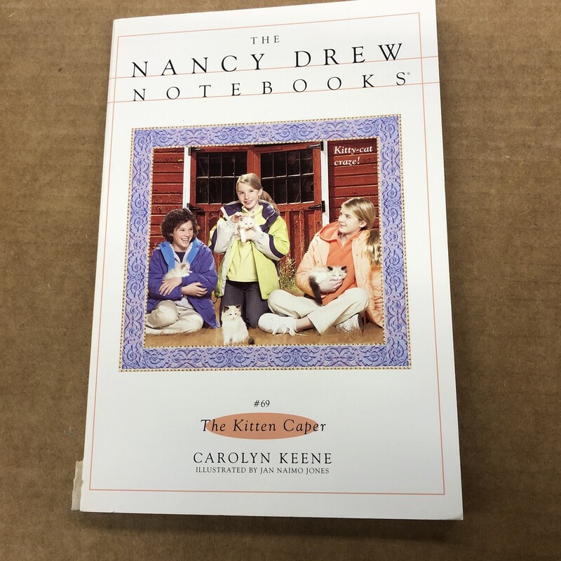 Nancy Drew Notebooks