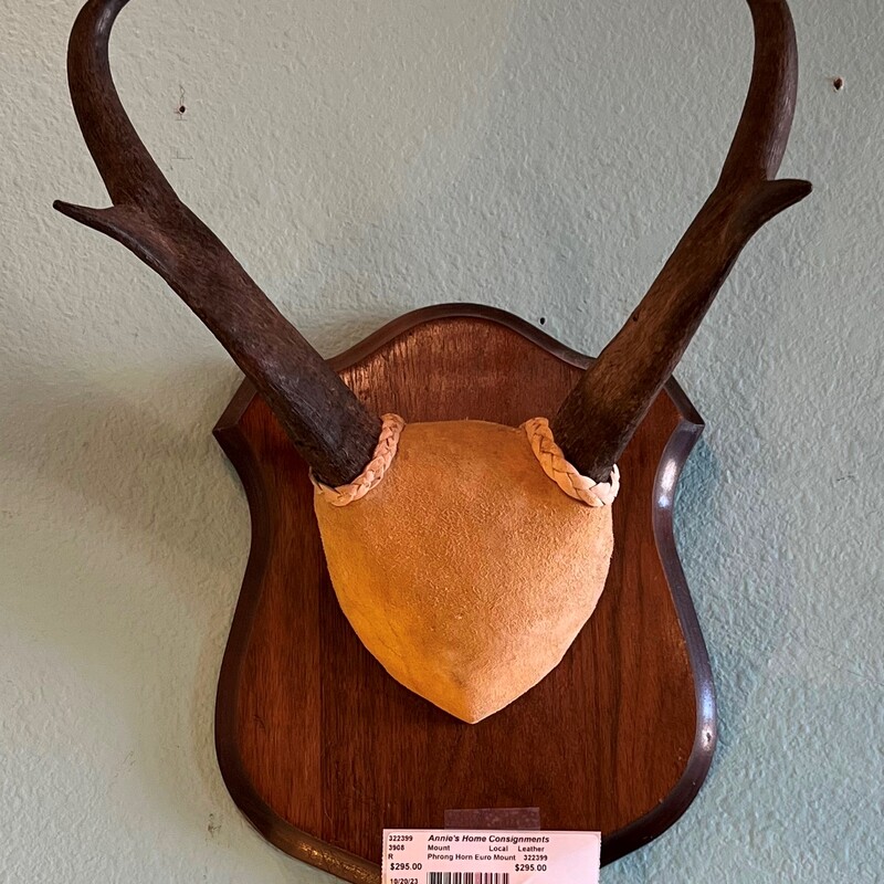 Phrong Horn Euro Mount, Local, Leather