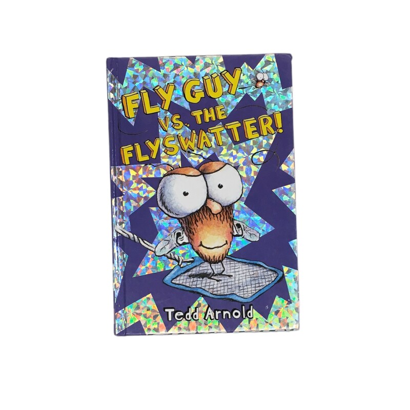Fly Guy Vs The Flyswatter
