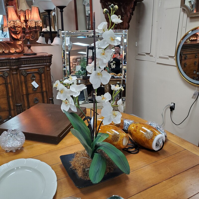 Artificial Orchid On Plate, Size: 28H