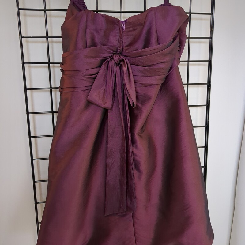 Purple Formal Dress, Purple, Size: 1X
A-Line, Boning in Lining