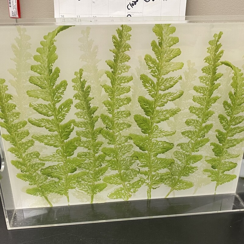 Acrylic Serving Tray