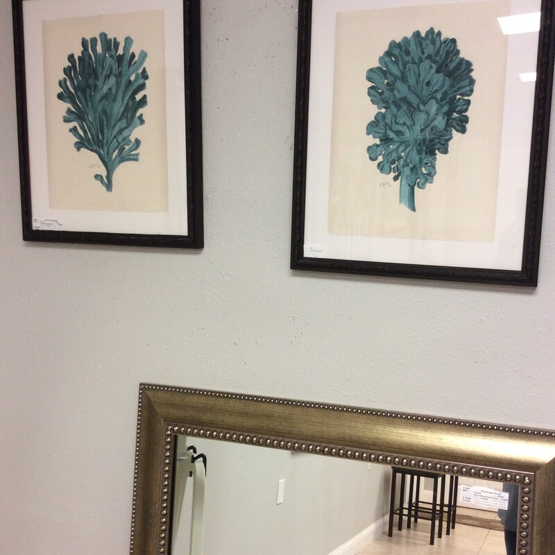 This pair of prints depict two varities of coral and are illustrated in a teal blue color.