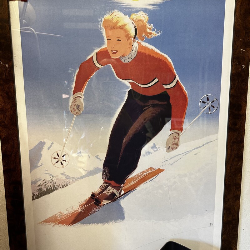Ski In The Sun