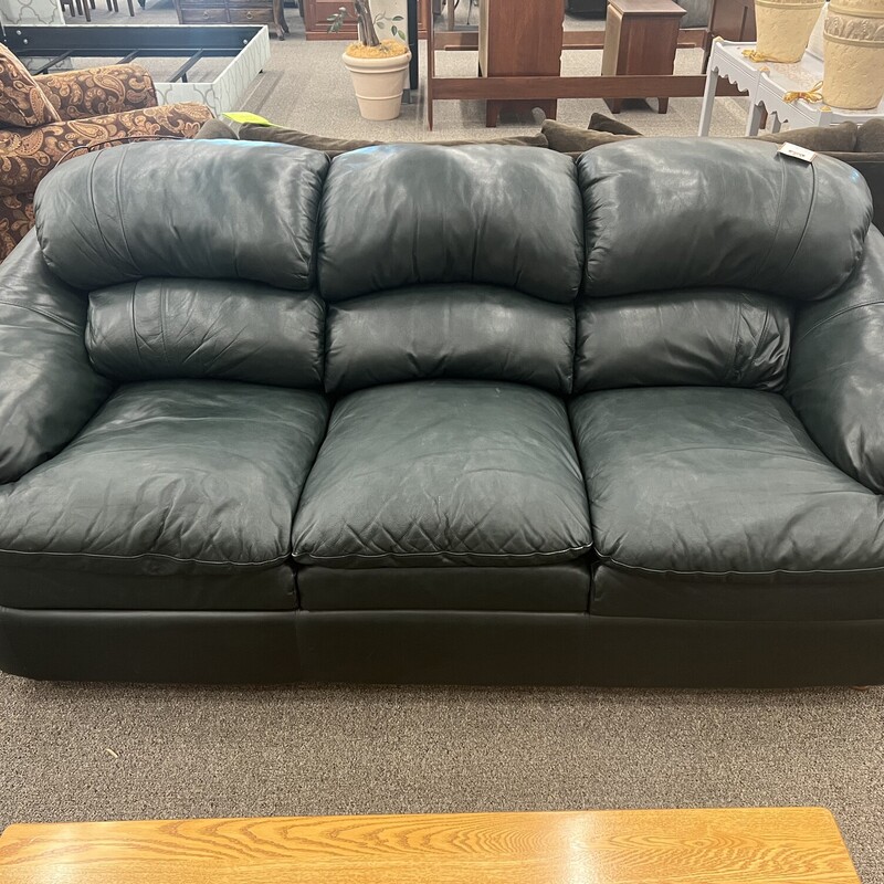 Green Leather Sofa Consign Furniture Meridian