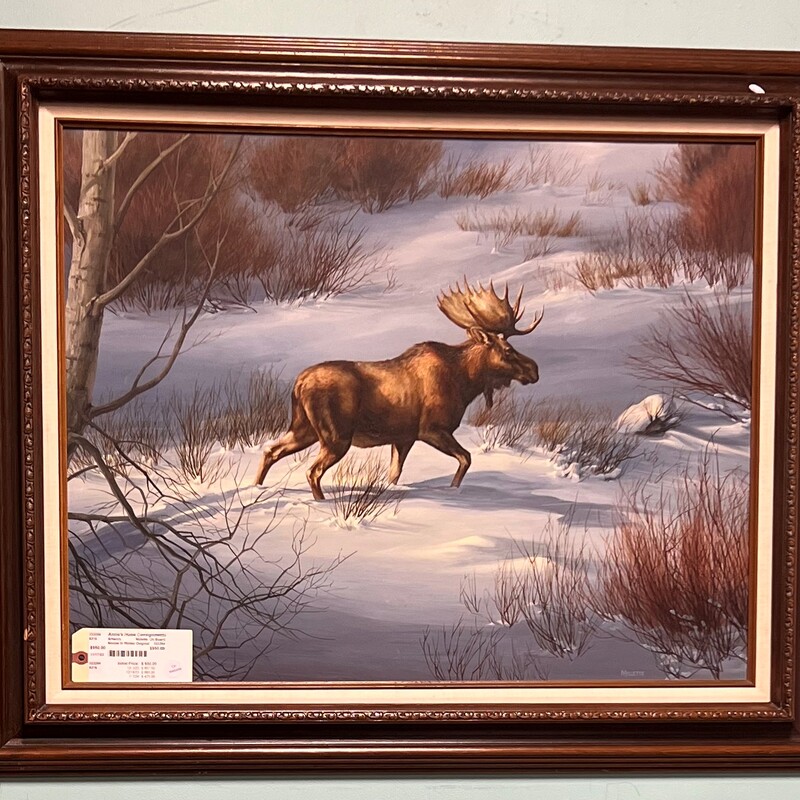 Moose In Winter Original