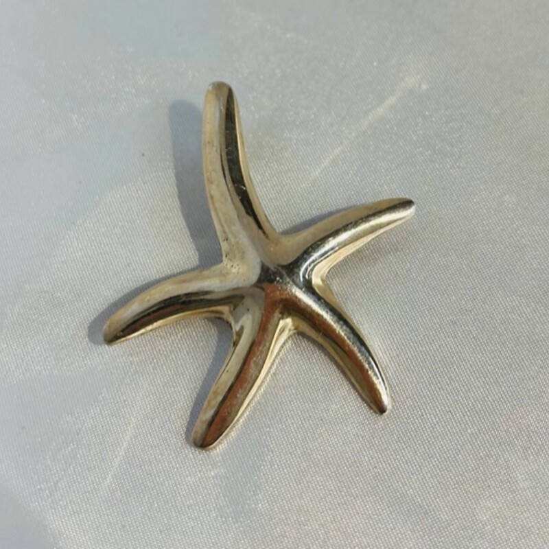 925 Mexico Starfish Pin