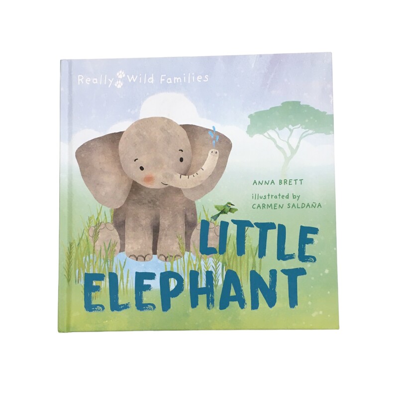 Little Elephant