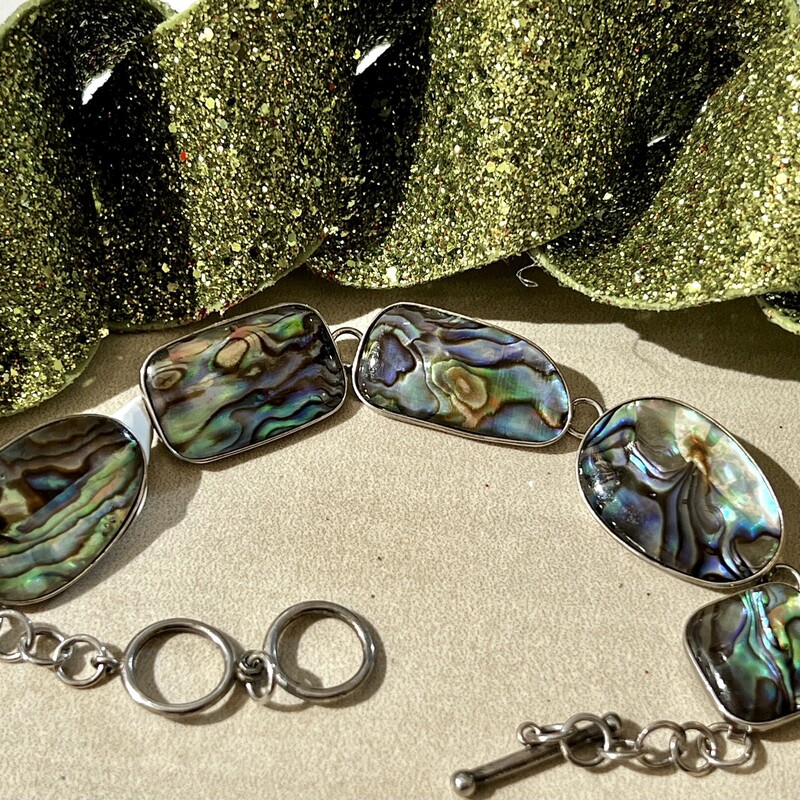 Abalone bracelet

Two available $22 each