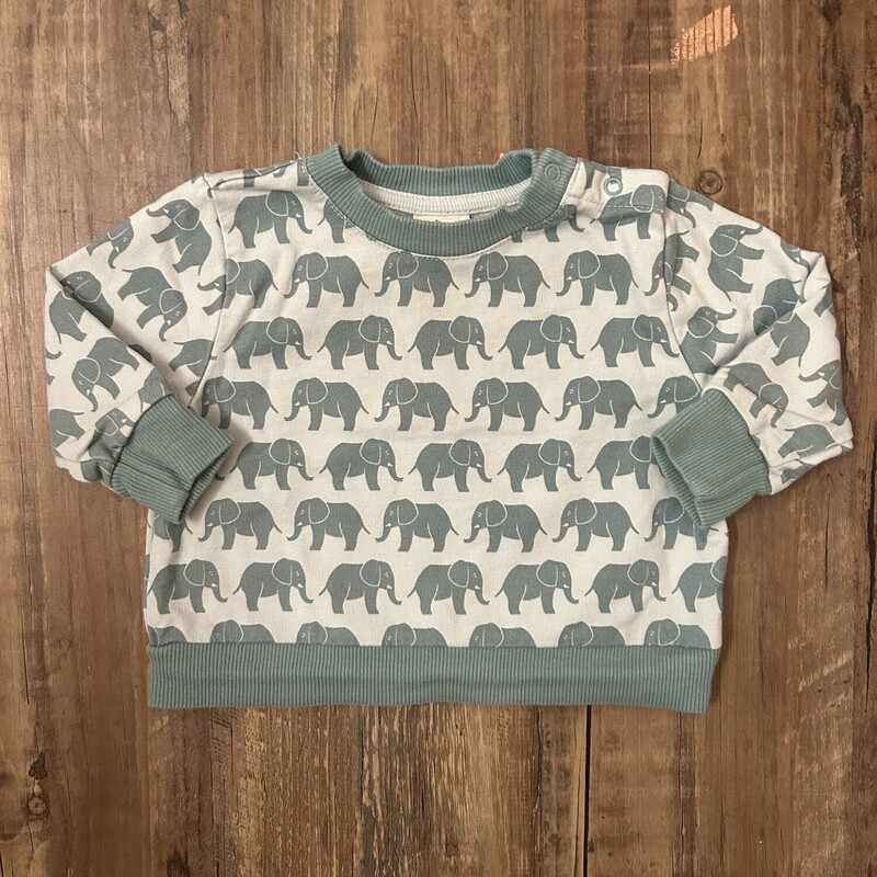 Alana Organic Sweatshirt, Sage, Size: Baby 3-6M