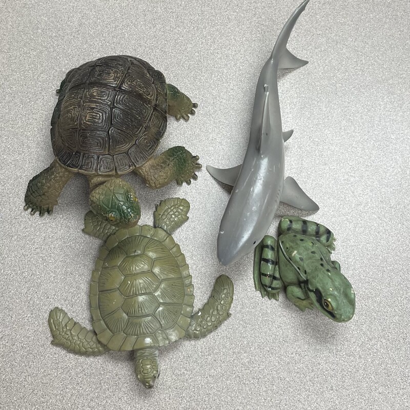 Frog Turtle Shark Tortoise, Multi, Size: 4 Pcs