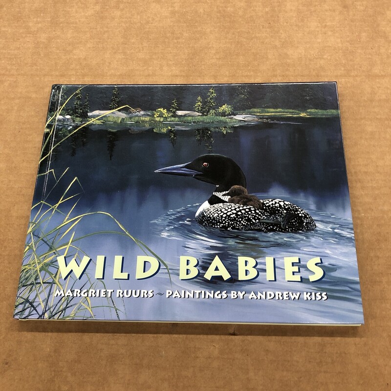 Wild Babies, Size: Cover, Item: Hard