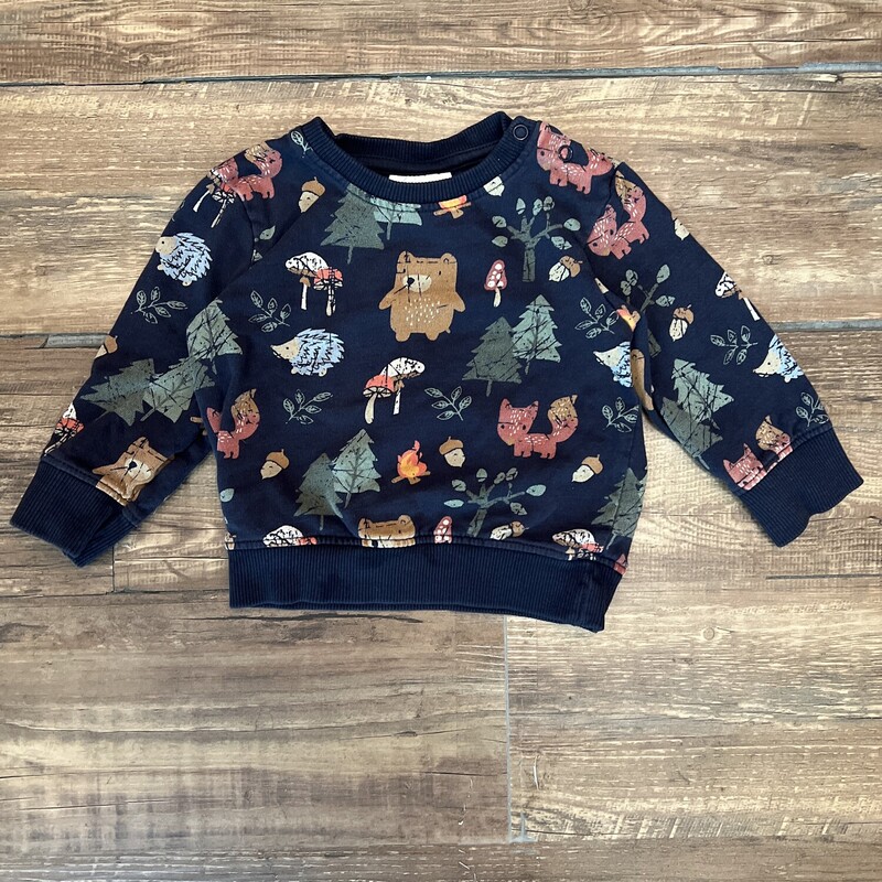 Topomini Print Sweatshirt, Navy, Size: Baby 12-18