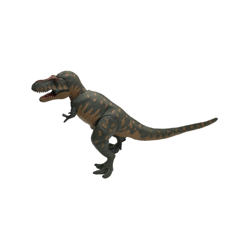 Tirannosaurus Rex Dinosau