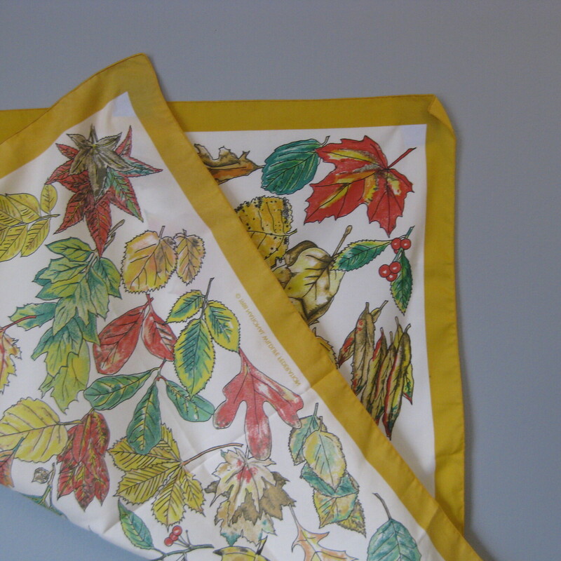 Sweet little square scarf in orangegs and greens with nicely rendered images of autumn leaves.<br />
Holly, oak, maple, and beech leaves<br />
25 square<br />
Polyester<br />
<br />
The fabric is polyester, the designers signature appears in green<br />
It is in great vintage condition.<br />
<br />
Thank you for looking.<br />
#3857