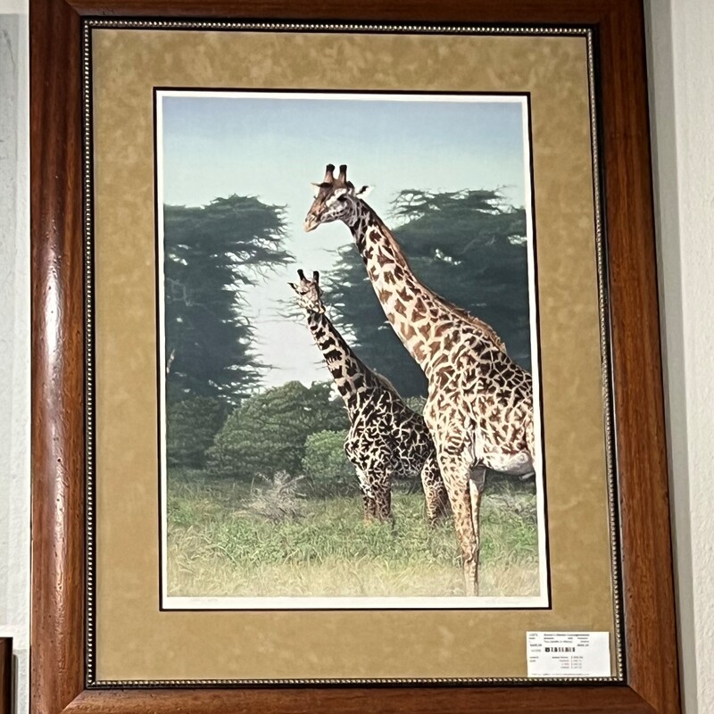 Guy Coheleach Signed, Giraffe, Framed