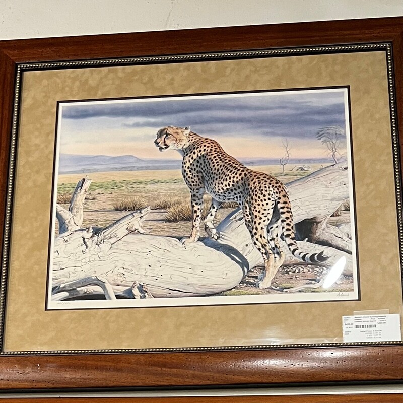 Cheetah African Signed, Print, Framed