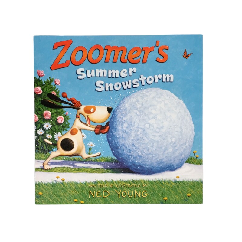 Zoomers Summer Snowstorm