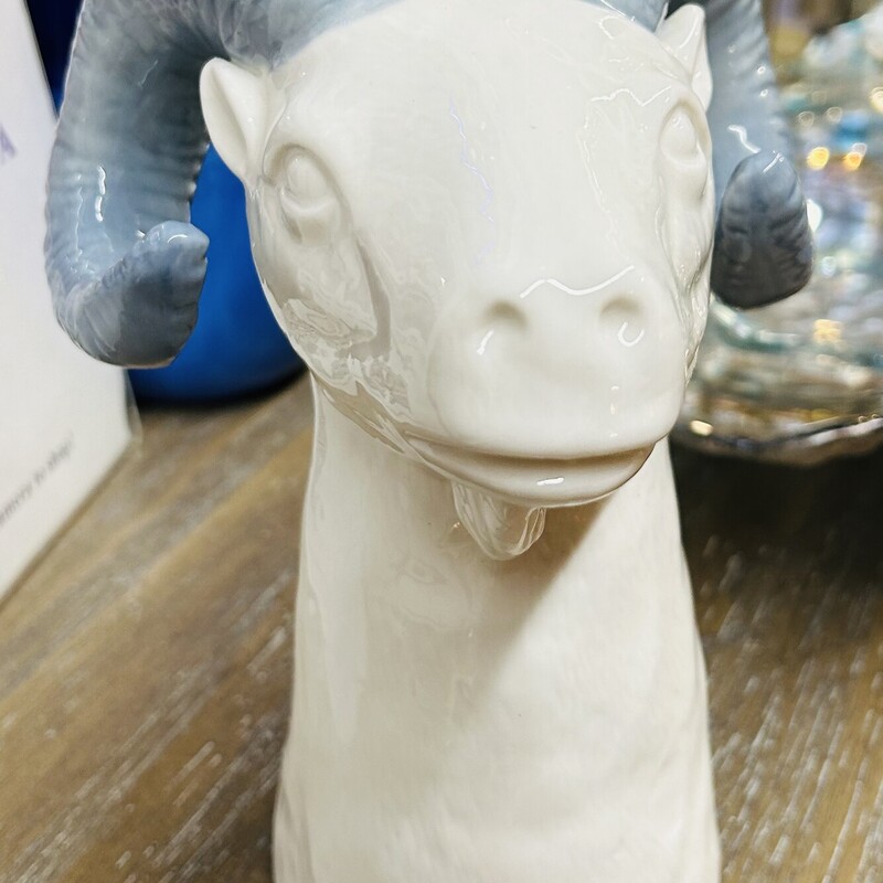 Ceramic Ram Head