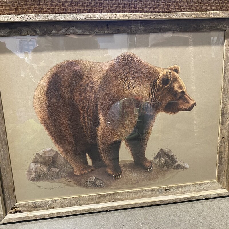Brown Bear

Size: 21x27