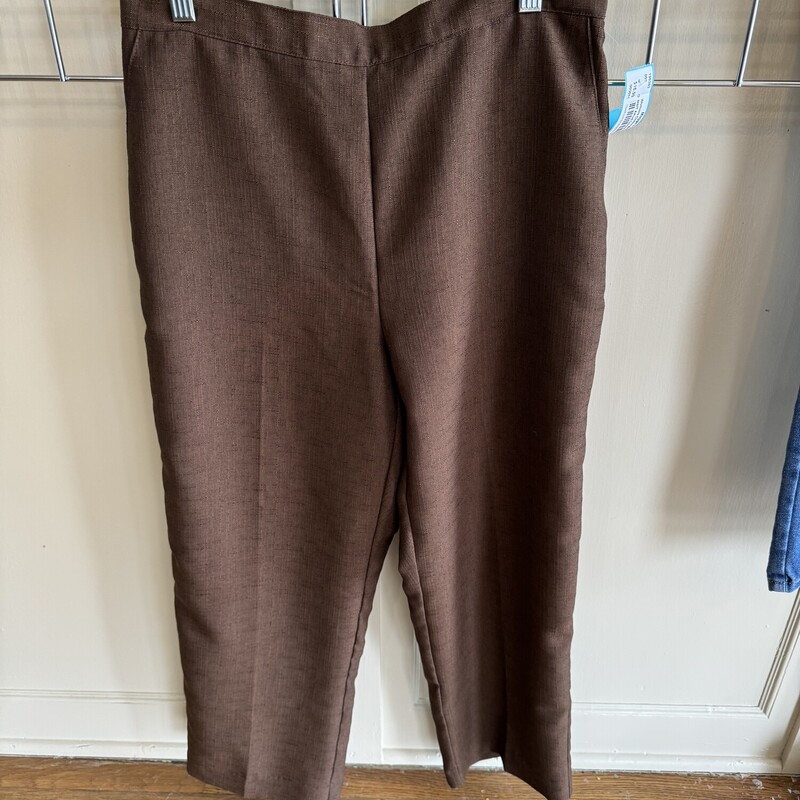 NWT Alfred Dunner Pants, Brown, Size: 12P
All Sales Are Final
Pick up in the store within 7 days of have shipped