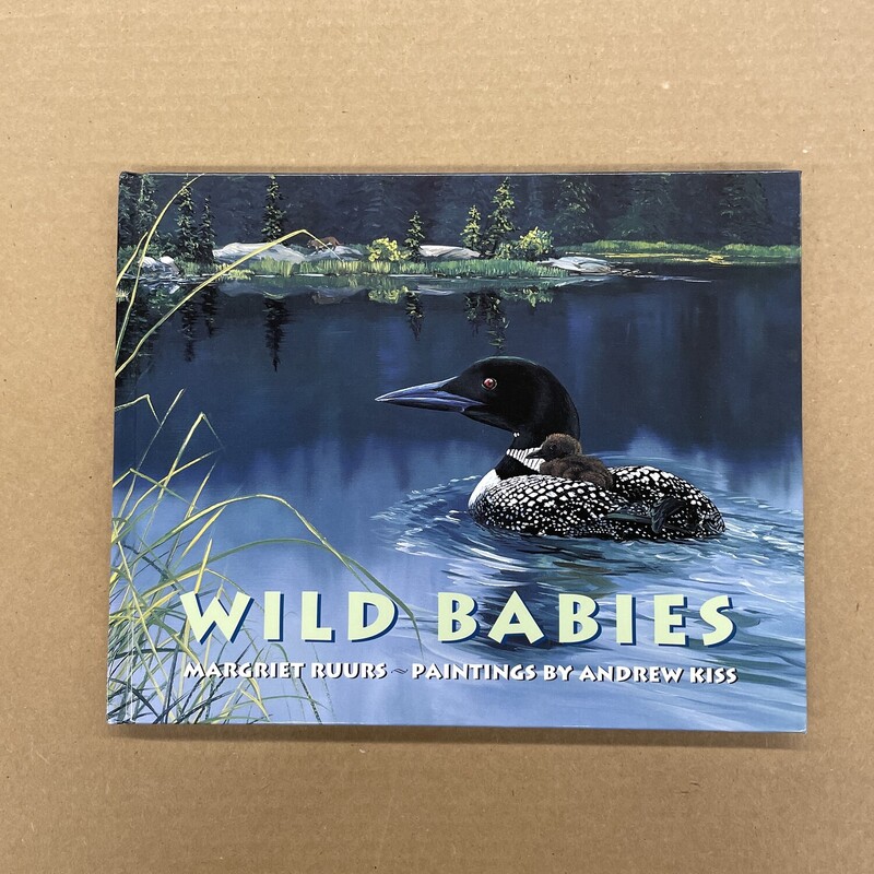 Wild Babies, Size: Cover, Item: Hard