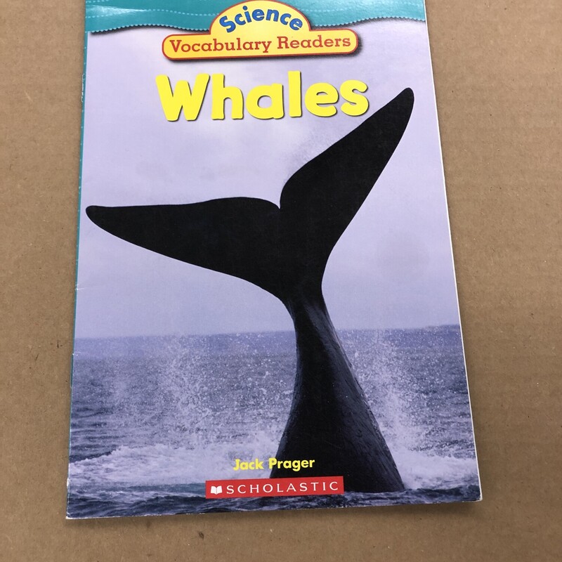 Whales, Size: Back, Item: Paper