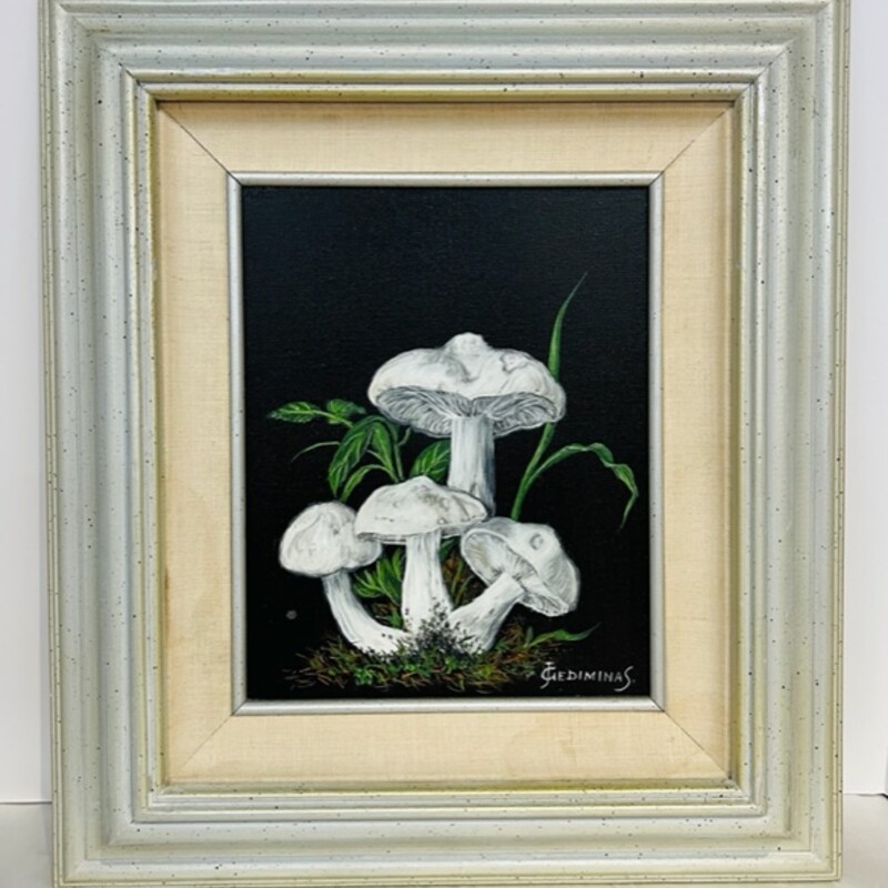 Forest Mushrooms Painting
Black White Green Silver Size: 15 x 17.5H