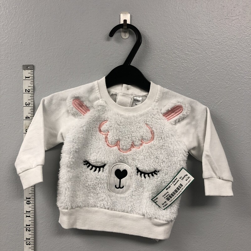 Pl Baby, Size: 6m, Item: Sweater