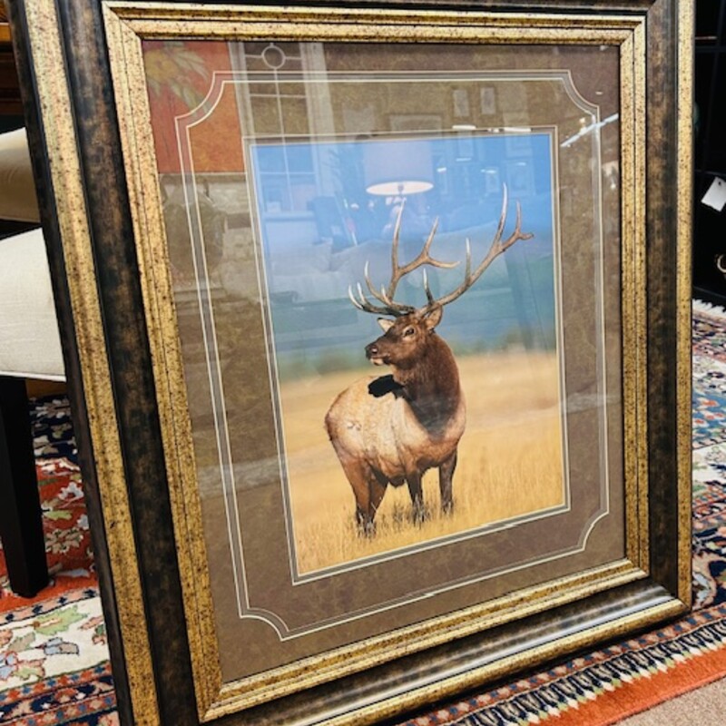 Majestic Elk Print
Brown Tan Blue Size: 28 x 32H