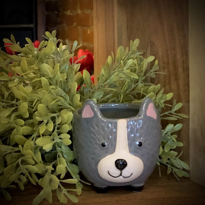 Hedgehog Pot
3 H x 3 W
Picture this: a tiny hedgehog with a big personality, ready to steal the spotlight in your home décor. This adorable pot is more than just a containe, it's a hedgehog-shaped haven for your favorite succulents or petite plants. With its spiky exterior and charming expression, it's like having a little woodland friend right on your windowsill or tabletop.