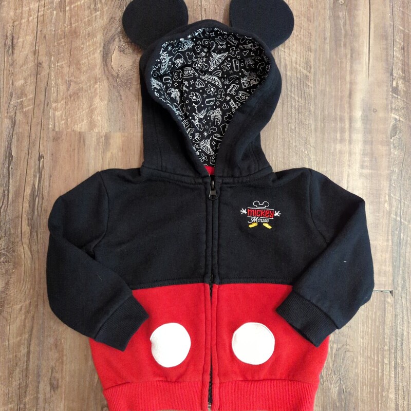 DisneyParks Mickey Hoodie