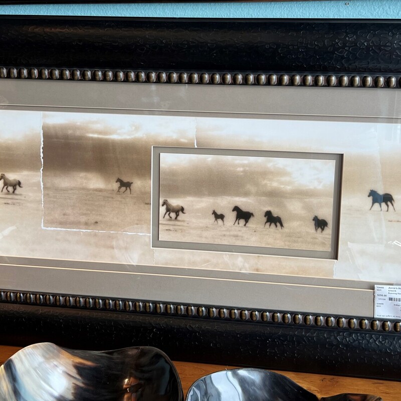 Running Horses Photos, Black/White, Framed
45in x 24in