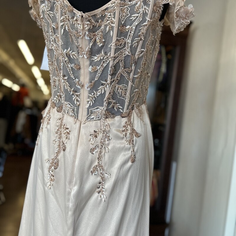 Ladivine Embellished Bodice with wide Embellished Shoulder straps Long, Rosegold, Size: 2X
Floral and Sequin detailing

All Sales Are Final. No Returns

Pick Up In Store within 7 Days of Purshase or Have Shipped For $15.00