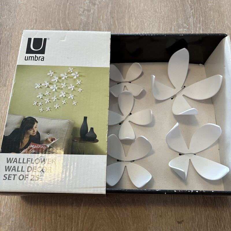 Umbra Wall Flowers
White
Boxed Set Of 25